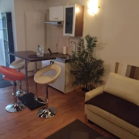 Z Prywatnym Ogrodkiem Centrum Apartmán *